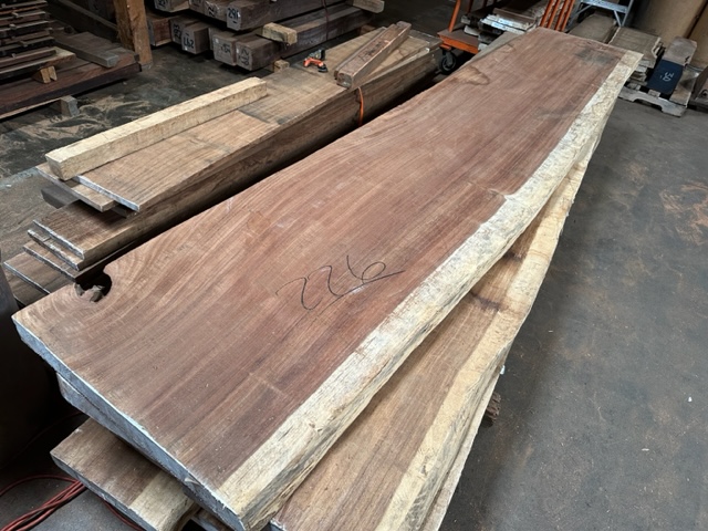 Parota Slab One Live Edge Tropical Exotic Hardwoods